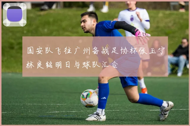 国安队飞往广州备战足协杯张玉宁林良铭明日与球队汇合